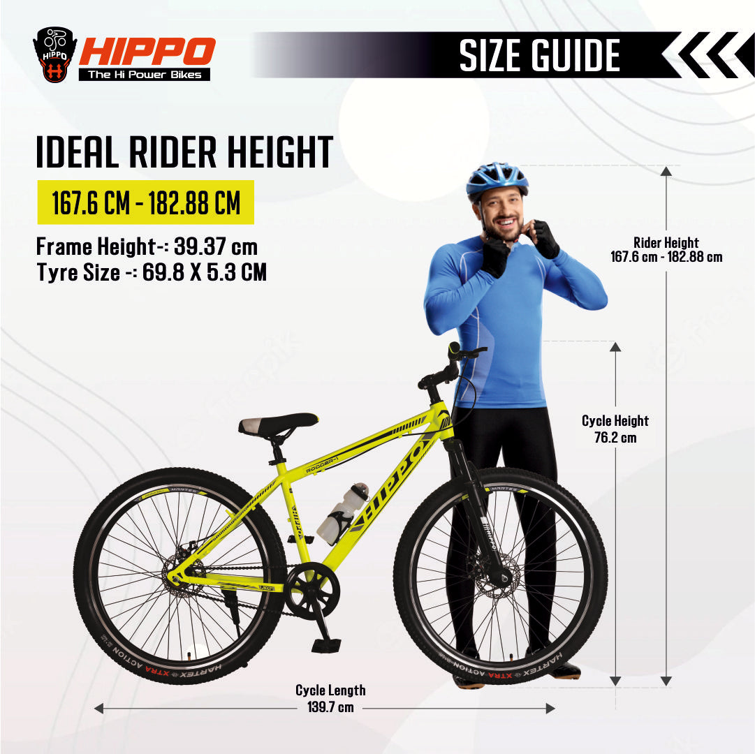 RI-446 ROGGER F/S, DDB