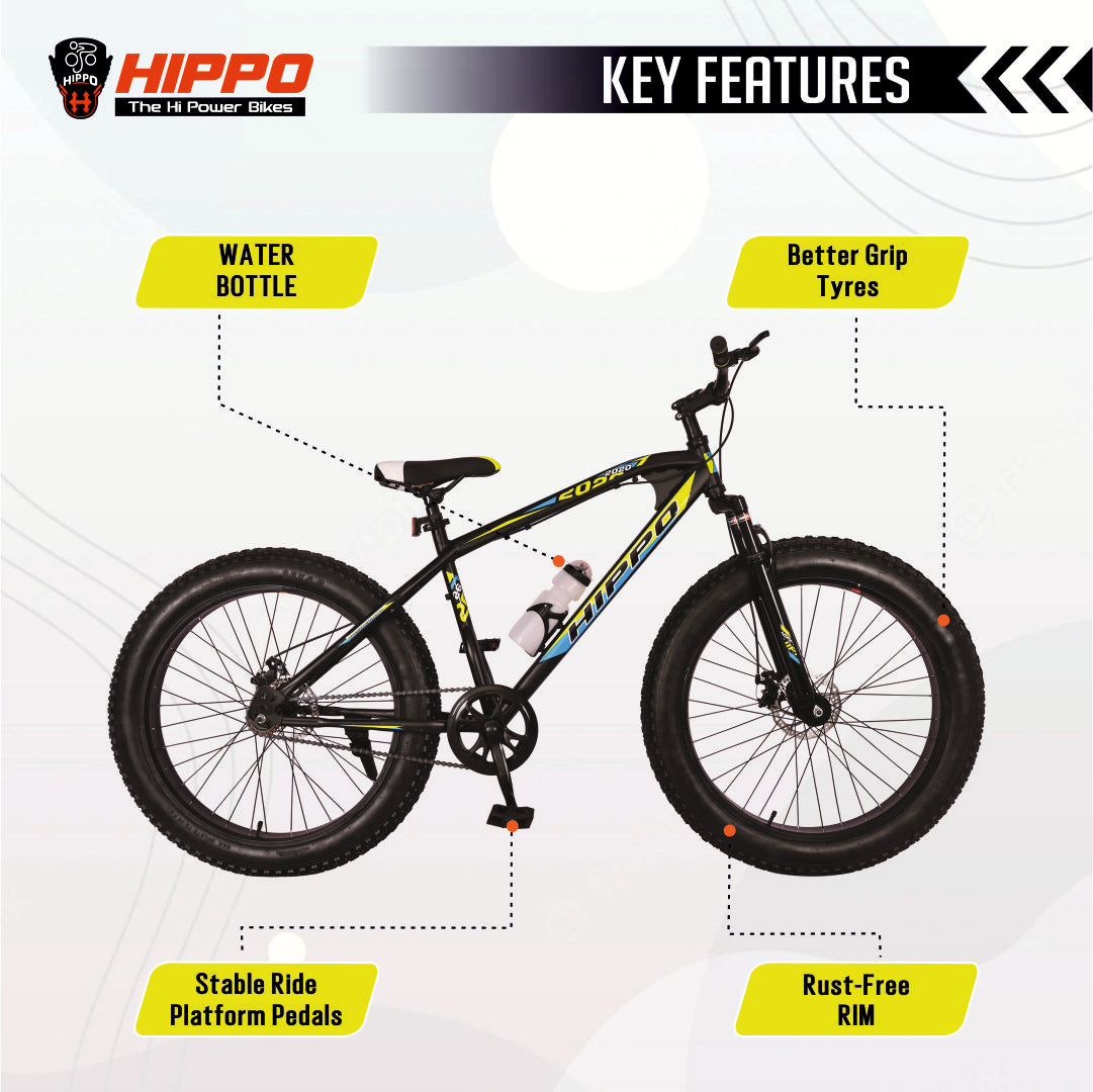 Lumala Bicycle Lady Bicycle For Sale Japanese Bike Lady Bike With